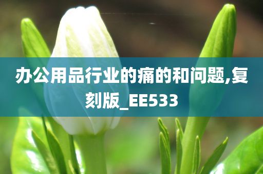 办公用品行业的痛的和问题,复刻版_EE533