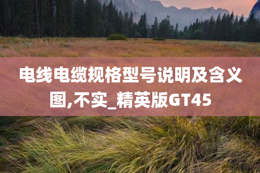 电线电缆规格型号说明及含义图,不实_精英版GT45