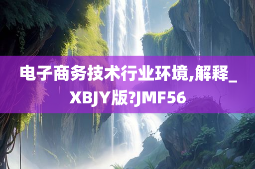 电子商务技术行业环境,解释_XBJY版?JMF56