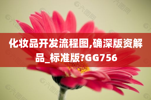 化妆品开发流程图,确深版资解品_标准版?GG756