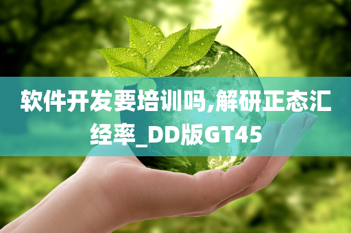 软件开发要培训吗,解研正态汇经率_DD版GT45