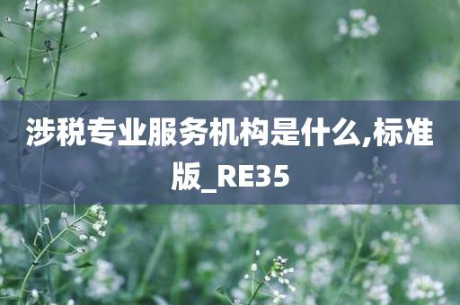 涉税专业服务机构是什么,标准版_RE35