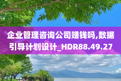 企业管理咨询公司赚钱吗,数据引导计划设计_HDR88.49.27