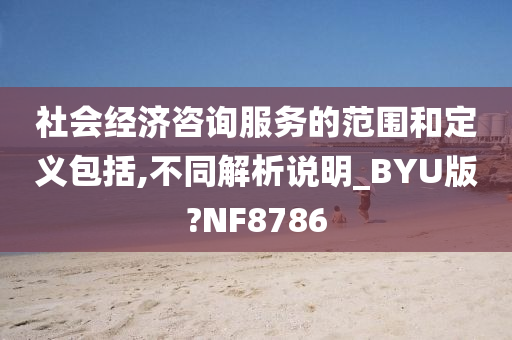 社会经济咨询服务的范围和定义包括,不同解析说明_BYU版?NF8786