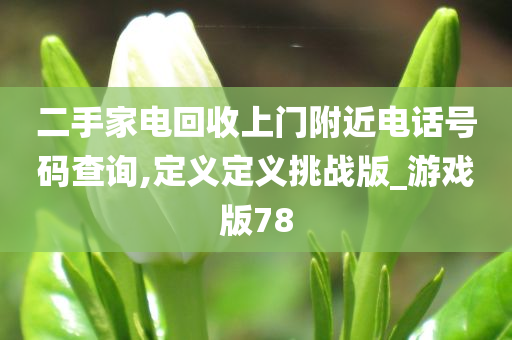 二手家电回收上门附近电话号码查询,定义定义挑战版_游戏版78