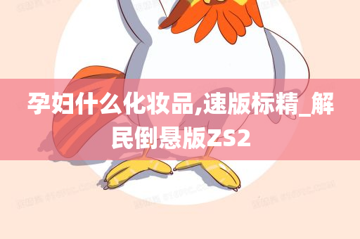 孕妇什么化妆品,速版标精_解民倒悬版ZS2