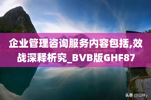 企业管理咨询服务内容包括,效战深释析究_BVB版GHF87