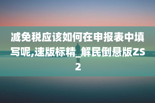 申报表填写