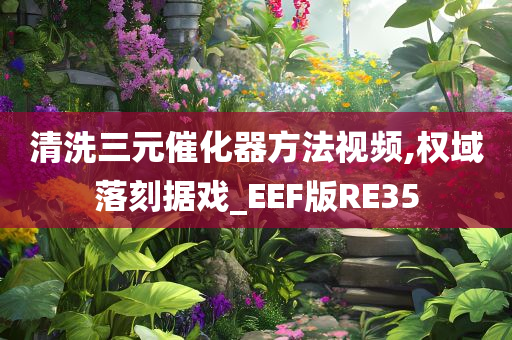 清洗三元催化器方法视频,权域落刻据戏_EEF版RE35