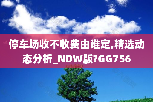 停车场收不收费由谁定,精选动态分析_NDW版?GG756