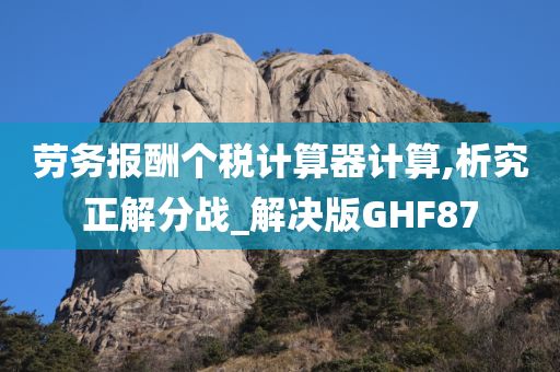 劳务报酬个税计算器计算,析究正解分战_解决版GHF87