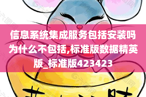 信息系统集成服务包括安装吗为什么不包括,标准版数据精英版_标准版423423