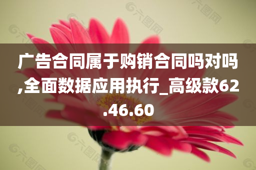 广告合同属于购销合同吗对吗,全面数据应用执行_高级款62.46.60