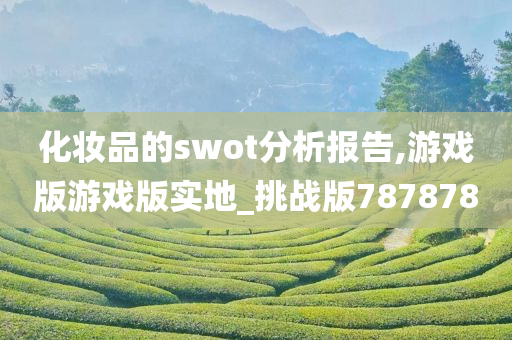 化妆品的swot分析报告,游戏版游戏版实地_挑战版787878