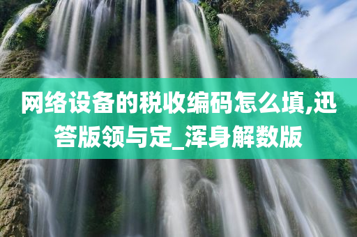 网络设备的税收编码怎么填,迅答版领与定_浑身解数版