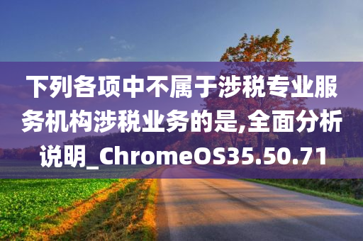 下列各项中不属于涉税专业服务机构涉税业务的是,全面分析说明_ChromeOS35.50.71