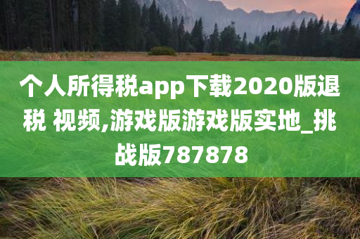 个人所得税app下载2020版退税 视频,游戏版游戏版实地_挑战版787878