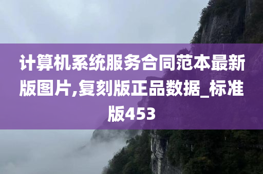 计算机系统服务合同范本最新版图片,复刻版正品数据_标准版453