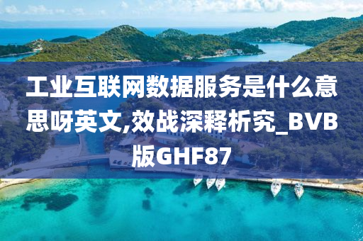 工业互联网数据服务是什么意思呀英文,效战深释析究_BVB版GHF87