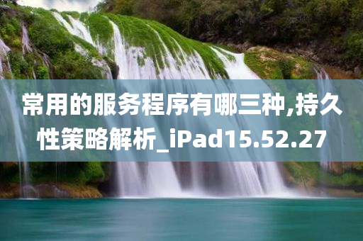 常用的服务程序有哪三种,持久性策略解析_iPad15.52.27