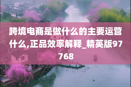 跨境电商是做什么的主要运营什么,正品效率解释_精英版97768