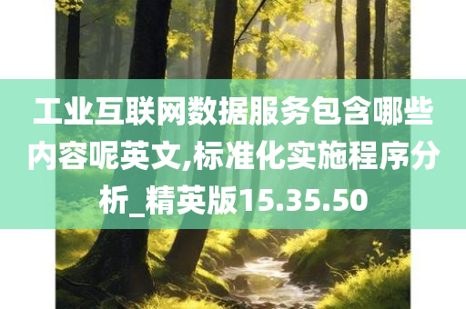 工业互联网数据服务包含哪些内容呢英文,标准化实施程序分析_精英版15.35.50