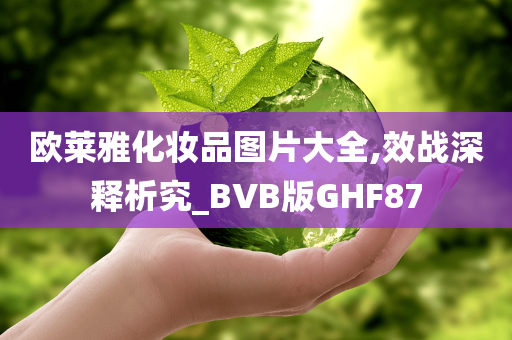 欧莱雅化妆品图片大全,效战深释析究_BVB版GHF87