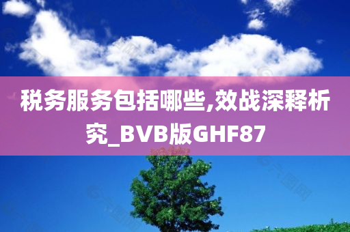 税务服务包括哪些,效战深释析究_BVB版GHF87