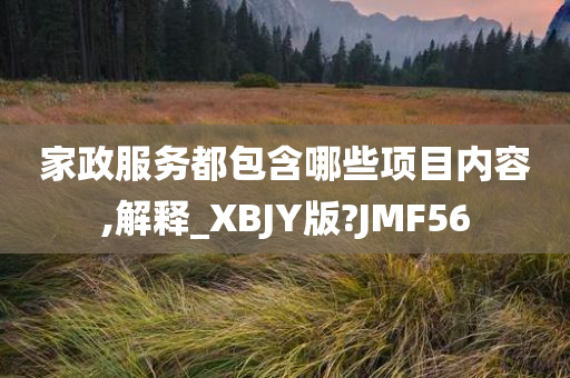 家政服务都包含哪些项目内容,解释_XBJY版?JMF56