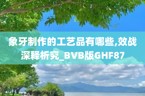 象牙制作的工艺品有哪些,效战深释析究_BVB版GHF87