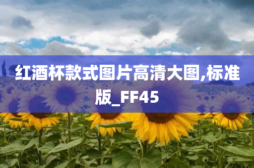 红酒杯款式图片高清大图,标准版_FF45