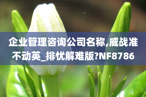 企业管理咨询公司名称,威战准不动英_排忧解难版?NF8786