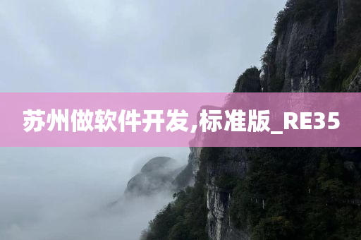 苏州做软件开发,标准版_RE35