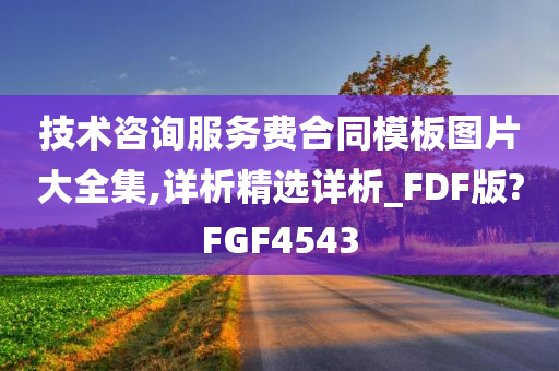 技术咨询服务费合同模板图片大全集,详析精选详析_FDF版?FGF4543