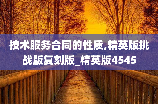 技术服务合同的性质,精英版挑战版复刻版_精英版4545