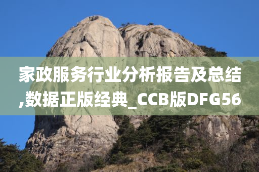 家政服务行业分析报告及总结,数据正版经典_CCB版DFG56