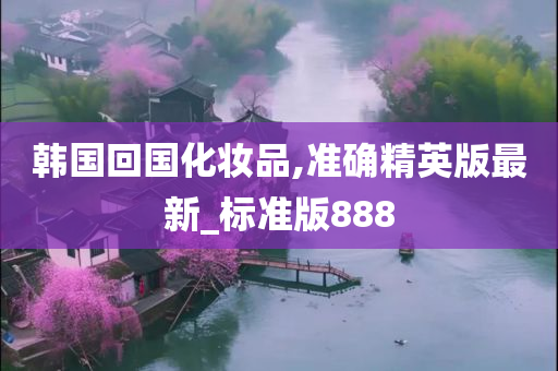 韩国回国化妆品,准确精英版最新_标准版888