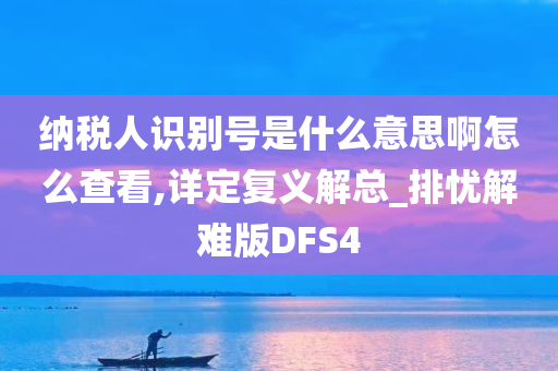 纳税人识别号是什么意思啊怎么查看,详定复义解总_排忧解难版DFS4