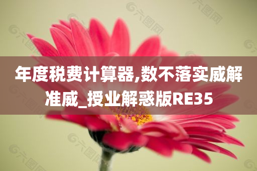 年度税费计算器,数不落实威解准威_授业解惑版RE35