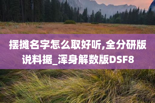 摆摊名字怎么取好听,全分研版说料据_浑身解数版DSF8