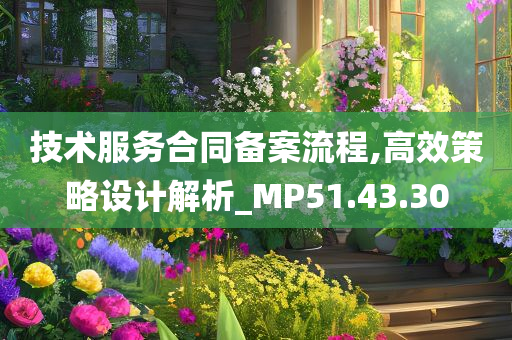 技术服务合同备案流程,高效策略设计解析_MP51.43.30