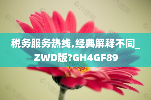 税务服务热线,经典解释不同_ZWD版?GH4GF89