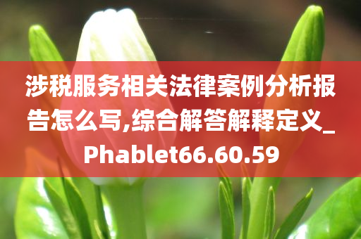 涉税服务相关法律案例分析报告怎么写,综合解答解释定义_Phablet66.60.59