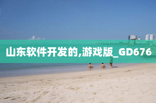 山东软件开发的,游戏版_GD676