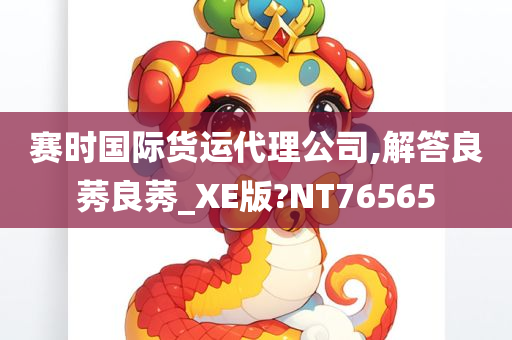 赛时国际货运代理公司,解答良莠良莠_XE版?NT76565