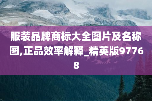 服装品牌商标大全图片及名称图,正品效率解释_精英版97768