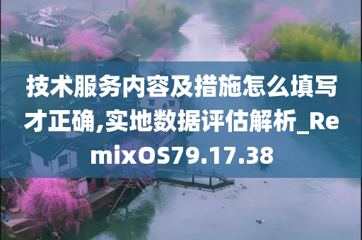 技术服务内容及措施怎么填写才正确,实地数据评估解析_RemixOS79.17.38