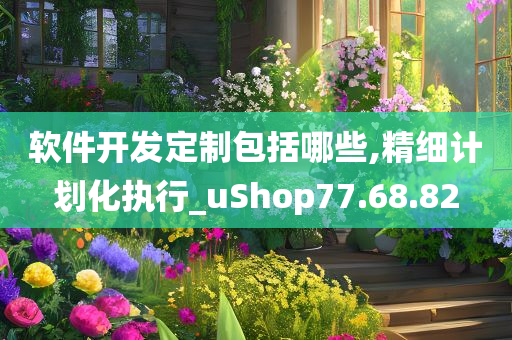 软件开发定制包括哪些,精细计划化执行_uShop77.68.82