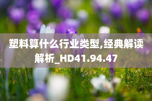 塑料算什么行业类型,经典解读解析_HD41.94.47