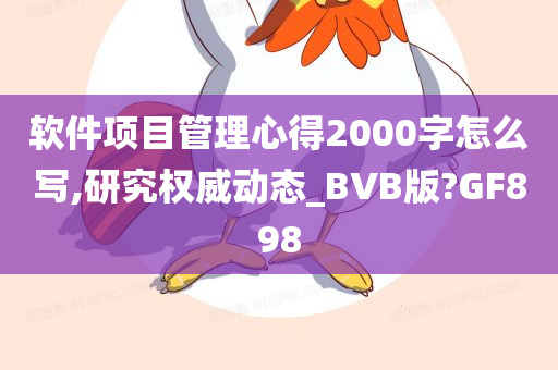 软件项目管理心得2000字怎么写,研究权威动态_BVB版?GF898